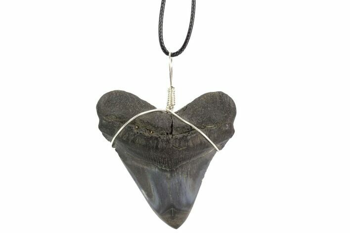 Fossil Megalodon Tooth Necklace #95231